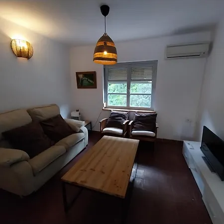 Ave Ibis Eremita Vejer Кадис