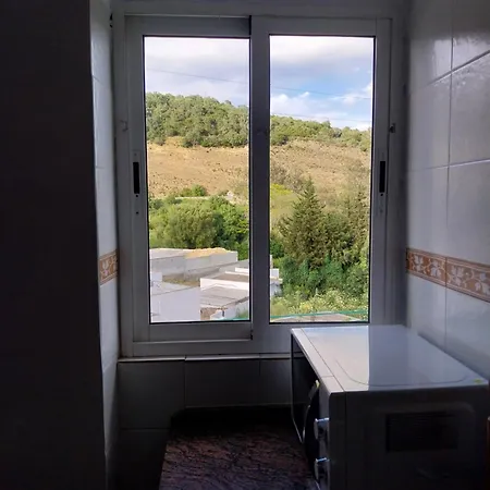 Ave Ibis Eremita Vejer * Кадис