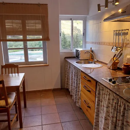 Ave Ibis Eremita Vejer