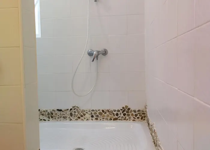 Ave Ibis Eremita Vejer アパート