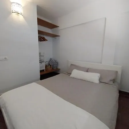 Ave Ibis Eremita Vejer Cádiz