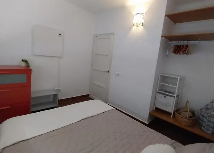 Ave Ibis Eremita Vejer * Cadice