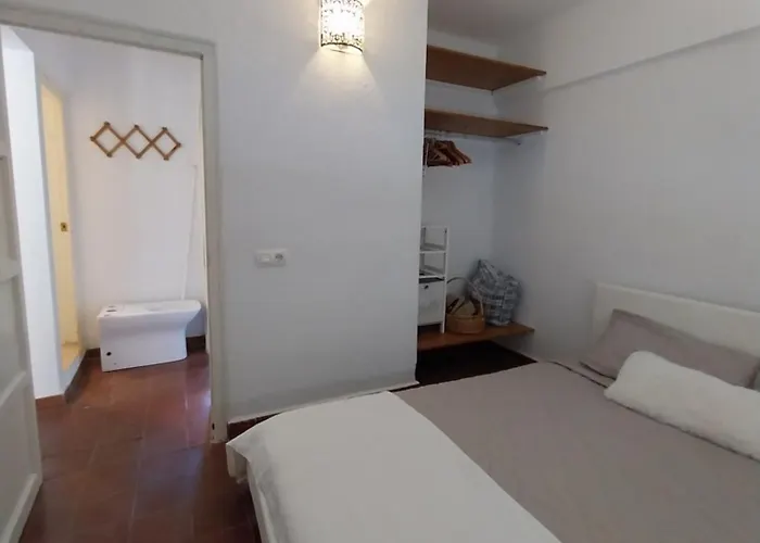 Ave Ibis Eremita Vejer * Cadiz