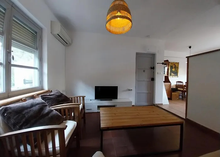 Ave Ibis Eremita Vejer