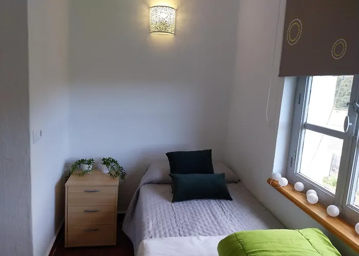 Ave Ibis Eremita Vejer Appartamento