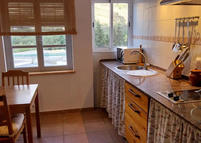 Ave Ibis Eremita Vejer