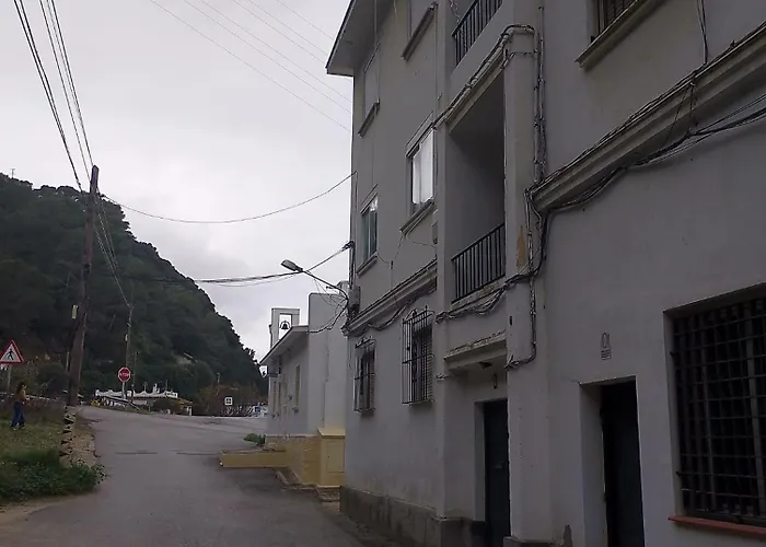 Ave Ibis Eremita Vejer Cadice