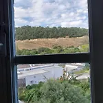 Ave Ibis Eremita Vejer Apartament