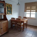 Ave Ibis Eremita Vejer *