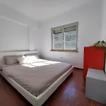 Ave Ibis Eremita Vejer *
