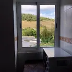 Ave Ibis Eremita Vejer * Kadyks