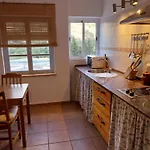 Ave Ibis Eremita Vejer