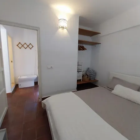 Ave Ibis Eremita Vejer * Cadiz