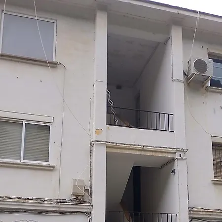 Ave Ibis Eremita Vejer Cadiz