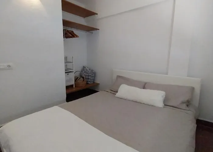 Ave Ibis Eremita Vejer Кадис