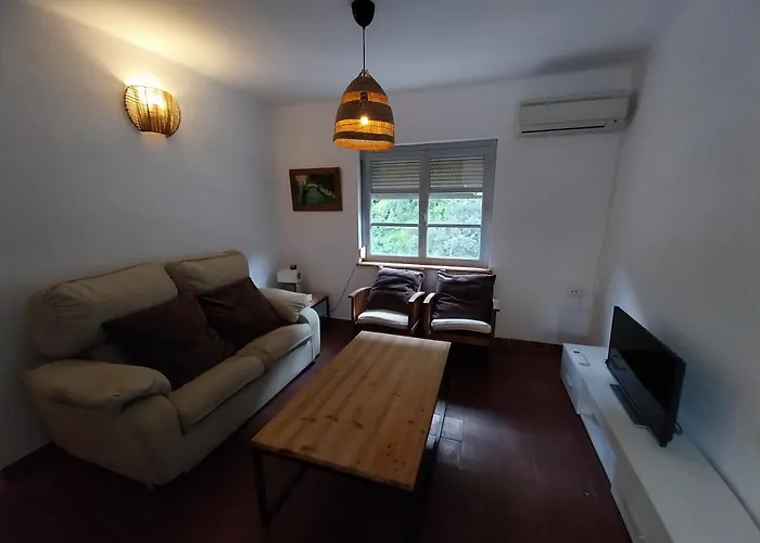 Ave Ibis Eremita Vejer Кадис