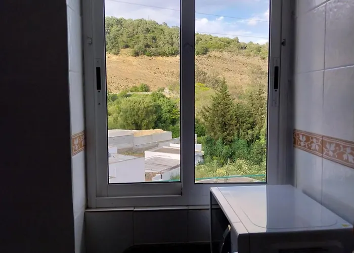 Ave Ibis Eremita Vejer * Кадис