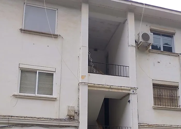 Ave Ibis Eremita Vejer Кадис